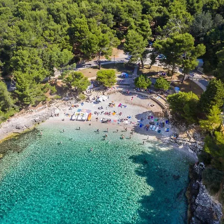 Holiday Neja *